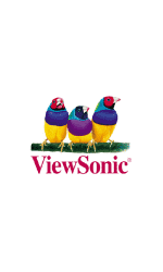 ViewSonic v35: hello, bird!