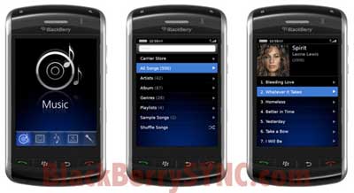 BlackBerry 9500 (BlackBerry Thunder)
