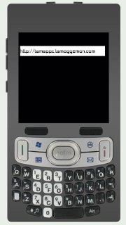 Palm Zeppelin and Palm Skywriter